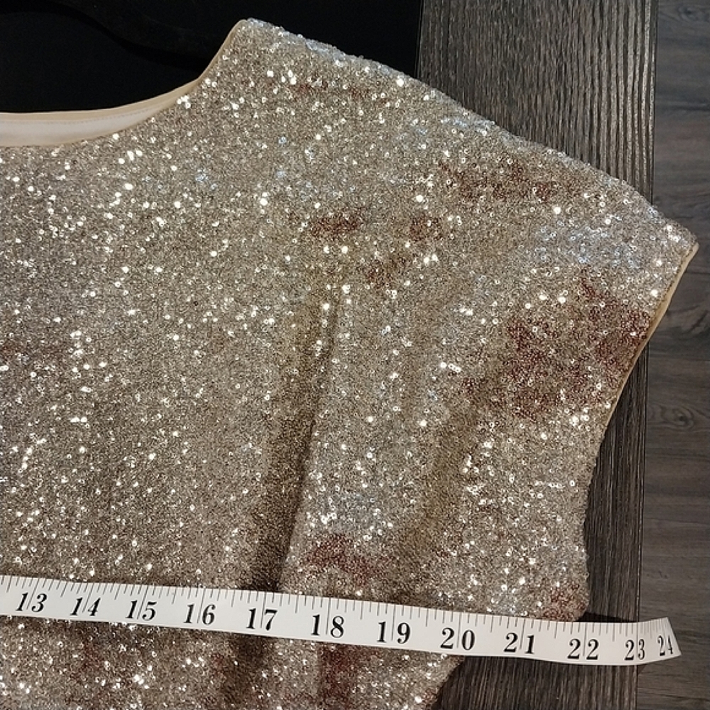 NWT Express Champagne Short Sleeve Sequined Ruched Mini Dress Size Small - Picture 14 of 16